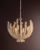 Pedrillo Chandelier Chandeliers