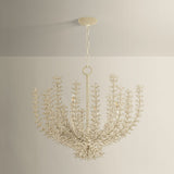 Pedrillo Chandelier Chandeliers
