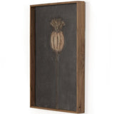 Poppy Noche by Paul Meyer Wall Art