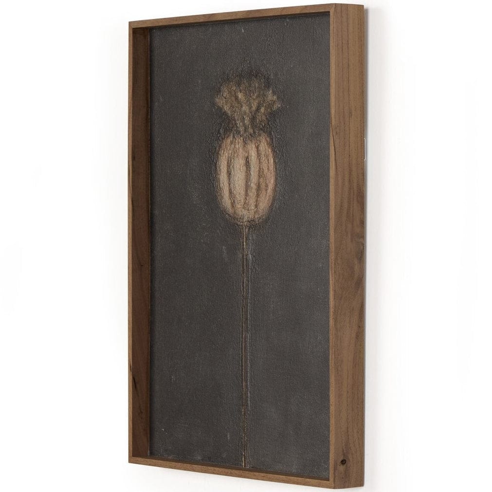 Poppy Triptych by Paul Meyer (Set of 3) Wall Art