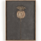 Poppy Triptych by Paul Meyer (Set of 3) Wall Art