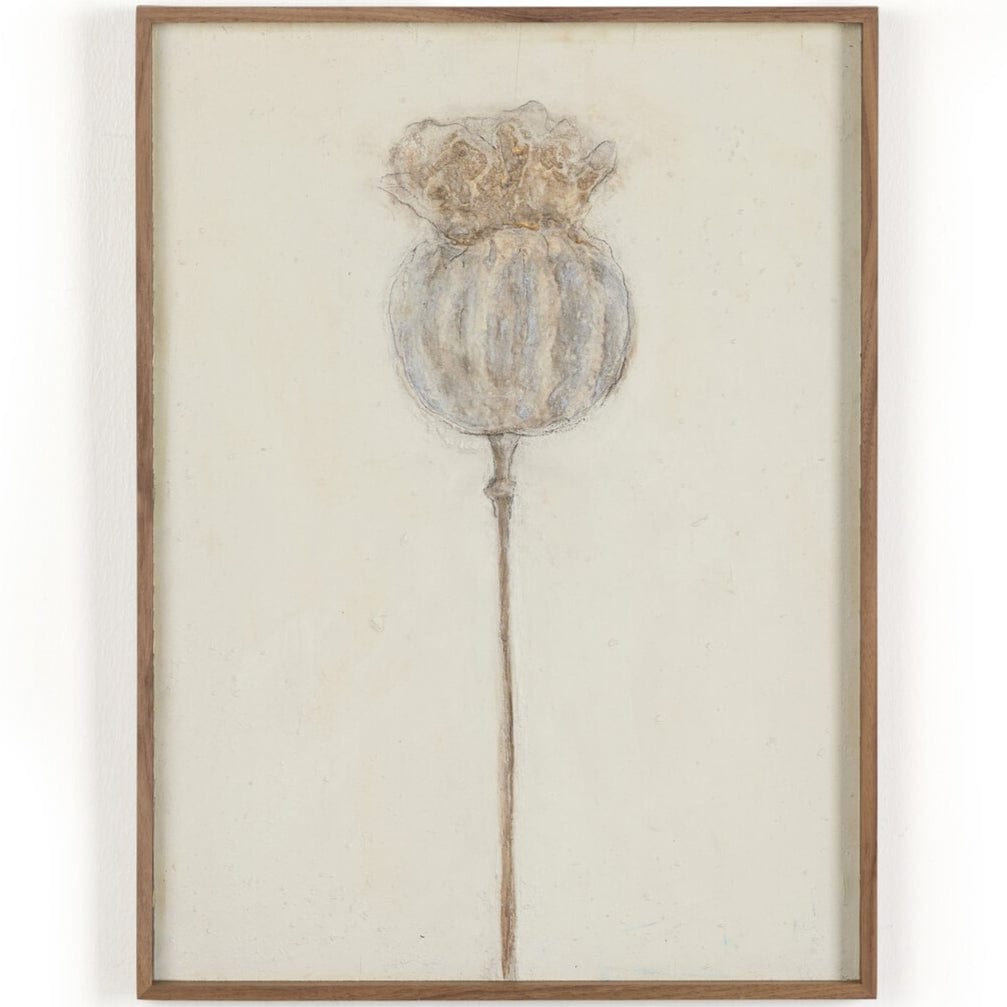 Poppy Triptych by Paul Meyer (Set of 3) Wall Art