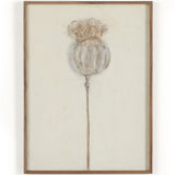 Poppy Triptych by Paul Meyer (Set of 3) Wall Art