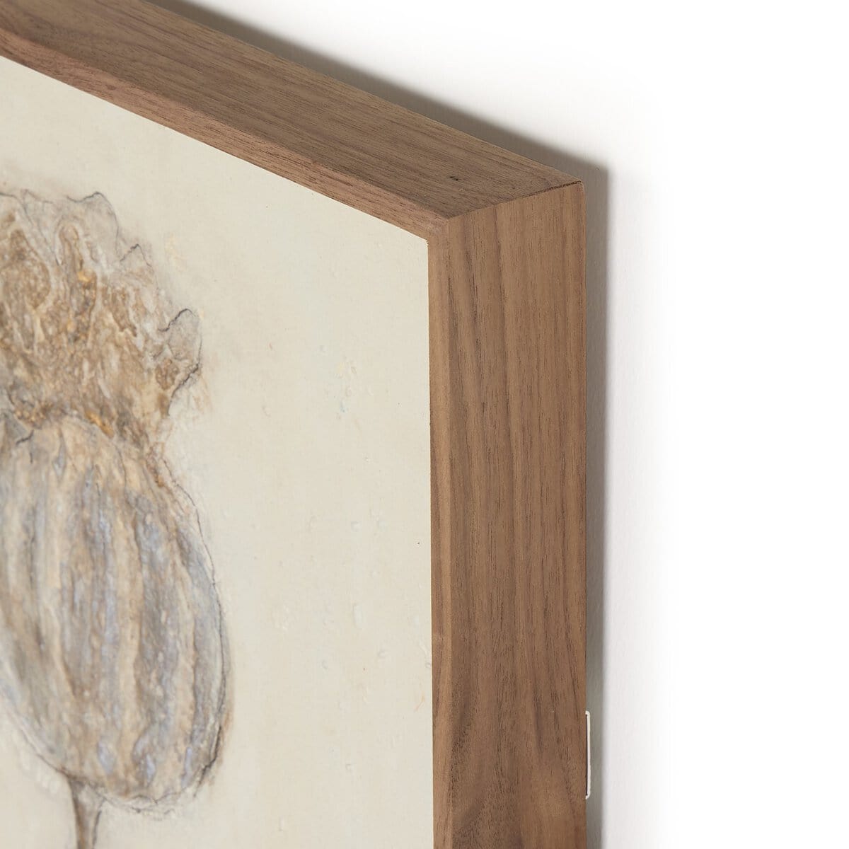 Poppy Triptych by Paul Meyer (Set of 3) Wall Art