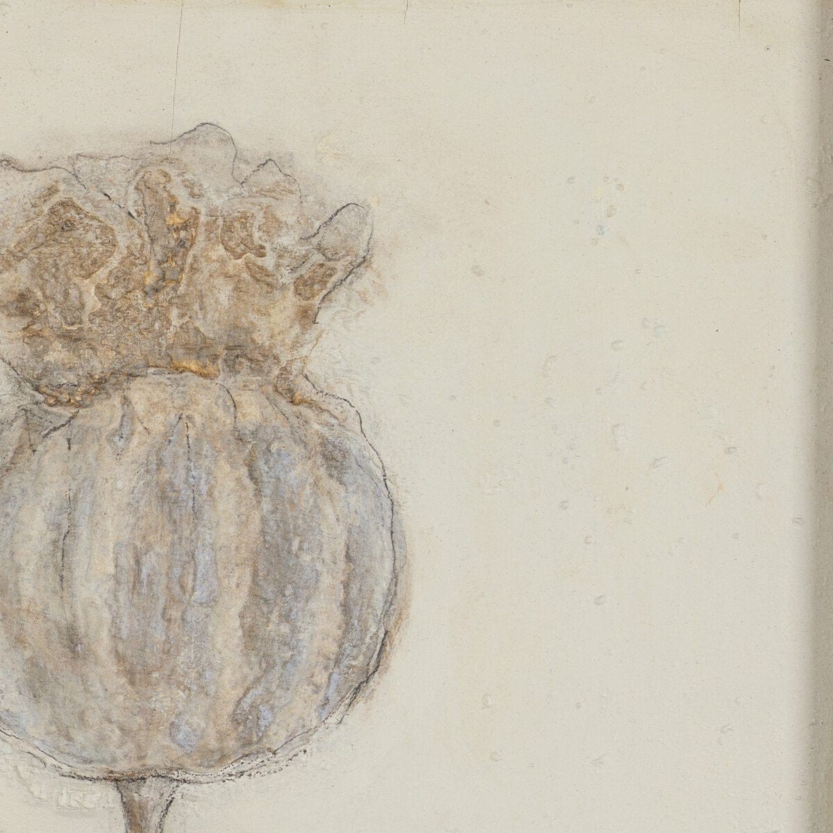 Poppy Triptych by Paul Meyer (Set of 3) Wall Art