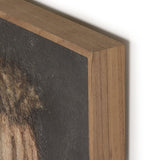 Poppy Triptych by Paul Meyer (Set of 3) Wall Art