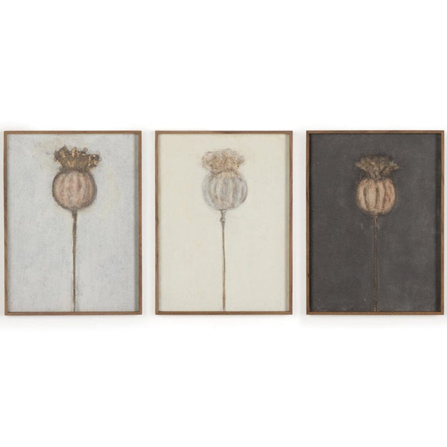 Poppy Triptych by Paul Meyer (Set of 3) Wall Art 251242-004
