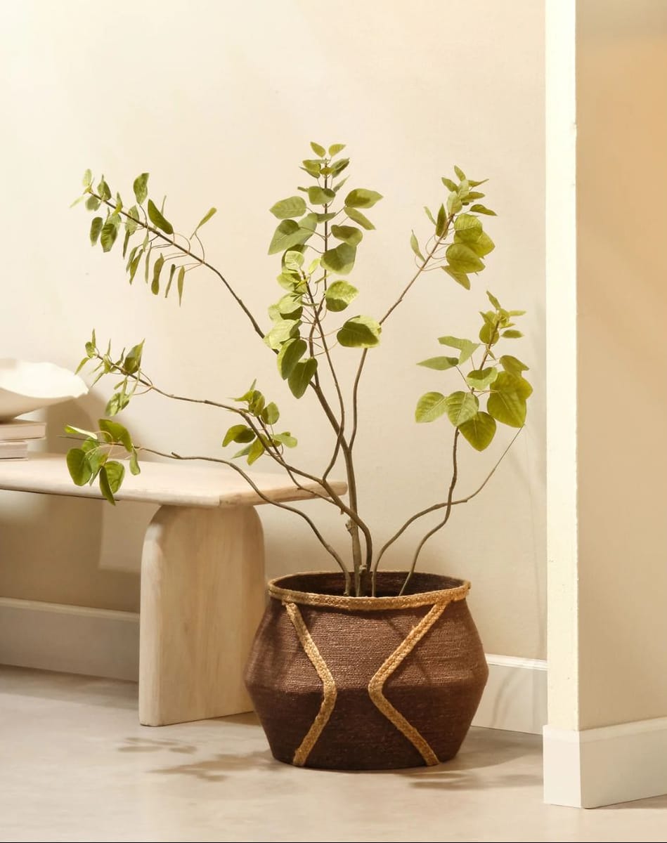 Python Basket Baskets + Bins 10PYTH-BADB