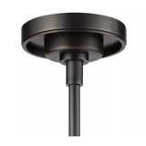 Regina Andrew Indoor/Outdoor Bistro Pendant Regina-Andrew-17-1021