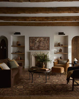 Reign Earth/Clay Rug Area Rugs
