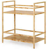 Riva Bar Cart Bar Carts TOV-OC18905 793580645142
