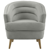 Rory Velvet Accent Chair Accent Chair TOV-IHS68541