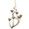 Rosemary Chandelier Chandelier CHAROSE2134TS