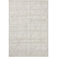 Roxie Ivory/Graphite Rug Area Rugs ROXIROX-01IVGT2030 885369946318