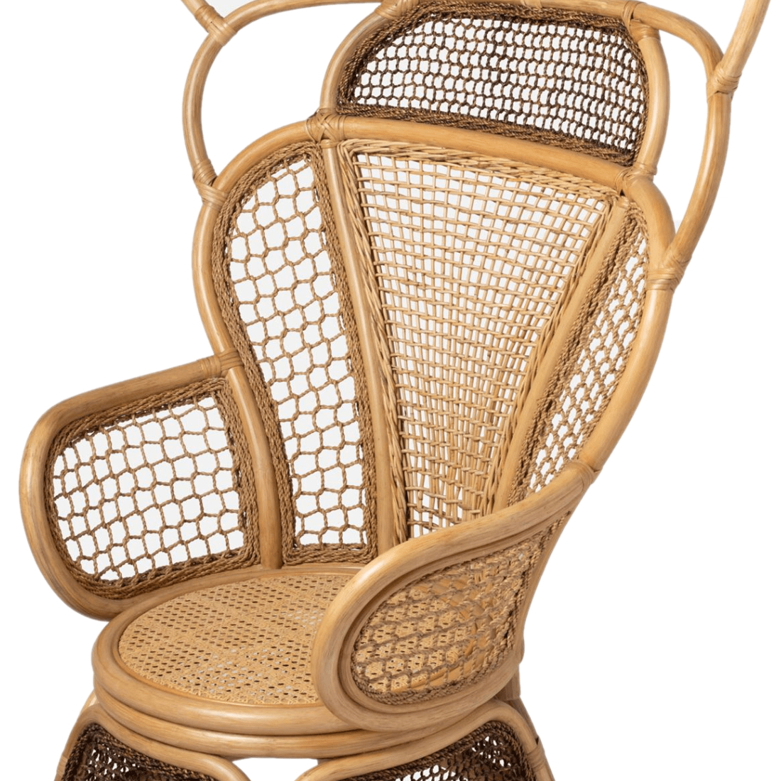 Safiya Wing Chair Occasional + Accent Chairs FURSAFIYALOCHNT