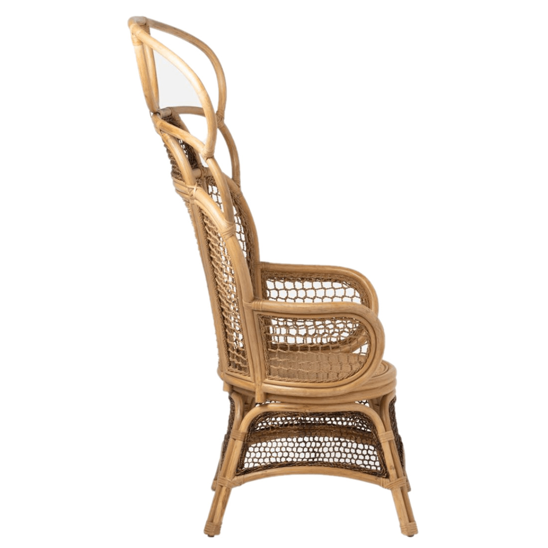 Safiya Wing Chair Occasional + Accent Chairs FURSAFIYALOCHNT