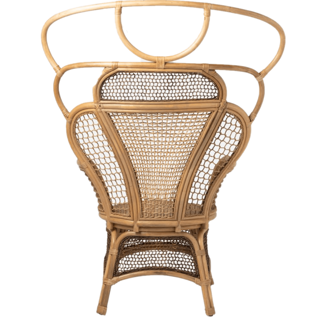 Safiya Wing Chair Occasional + Accent Chairs FURSAFIYALOCHNT