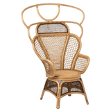 Safiya Wing Chair Occasional + Accent Chairs FURSAFIYALOCHNT