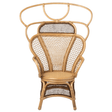 Safiya Wing Chair Occasional + Accent Chairs FURSAFIYALOCHNT