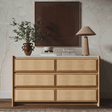 Sage Drawer Dressers TOV-B69354 793580643483
