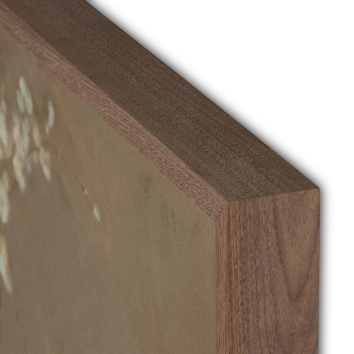 Sakura by Jess Engle Wall Art