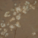 Sakura by Jess Engle Wall Art