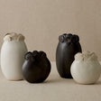 Sand Dollar Vases Vases
