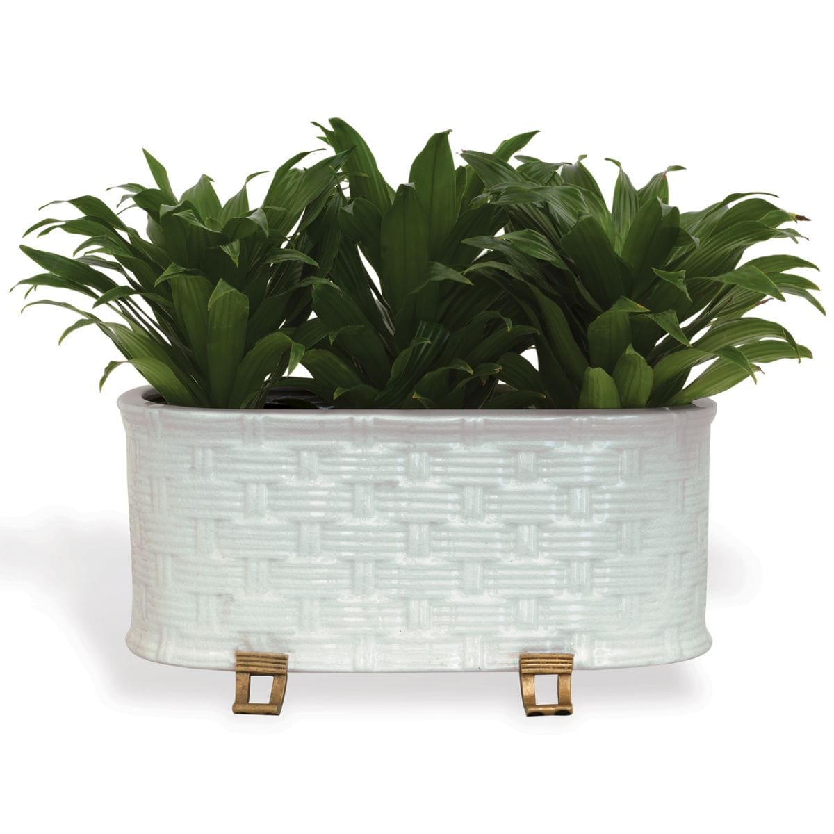 Sanibel Oval Planter Planter