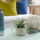 Sanibel Vase Vases SBL-700-109