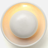 Saotra Wall Sconce/Celling Mount Sconces