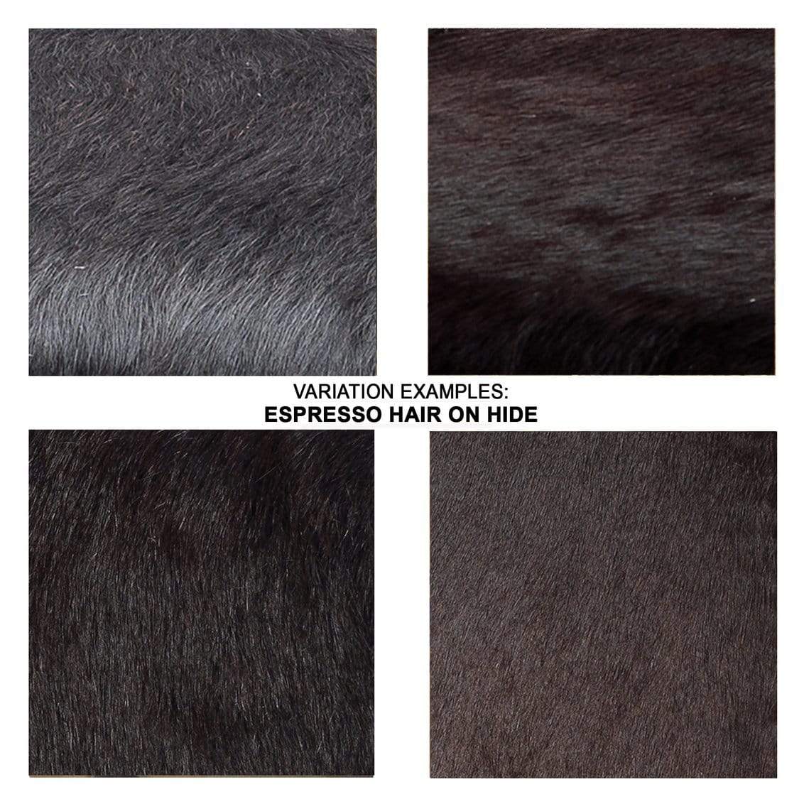 Shelby Counter + Bar Stool Stool