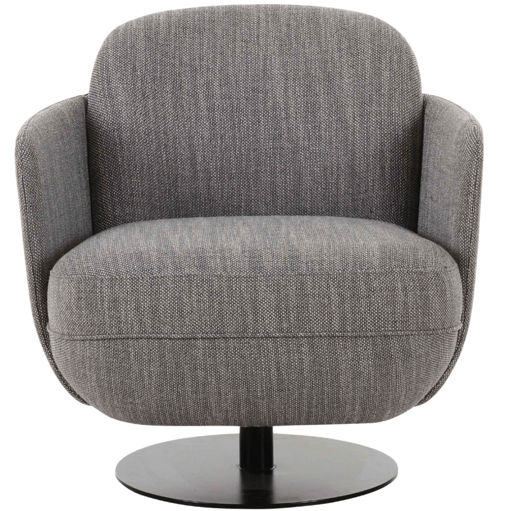 Siobhan Swivel Chair Accent Chair TOV-S69130 793580638526