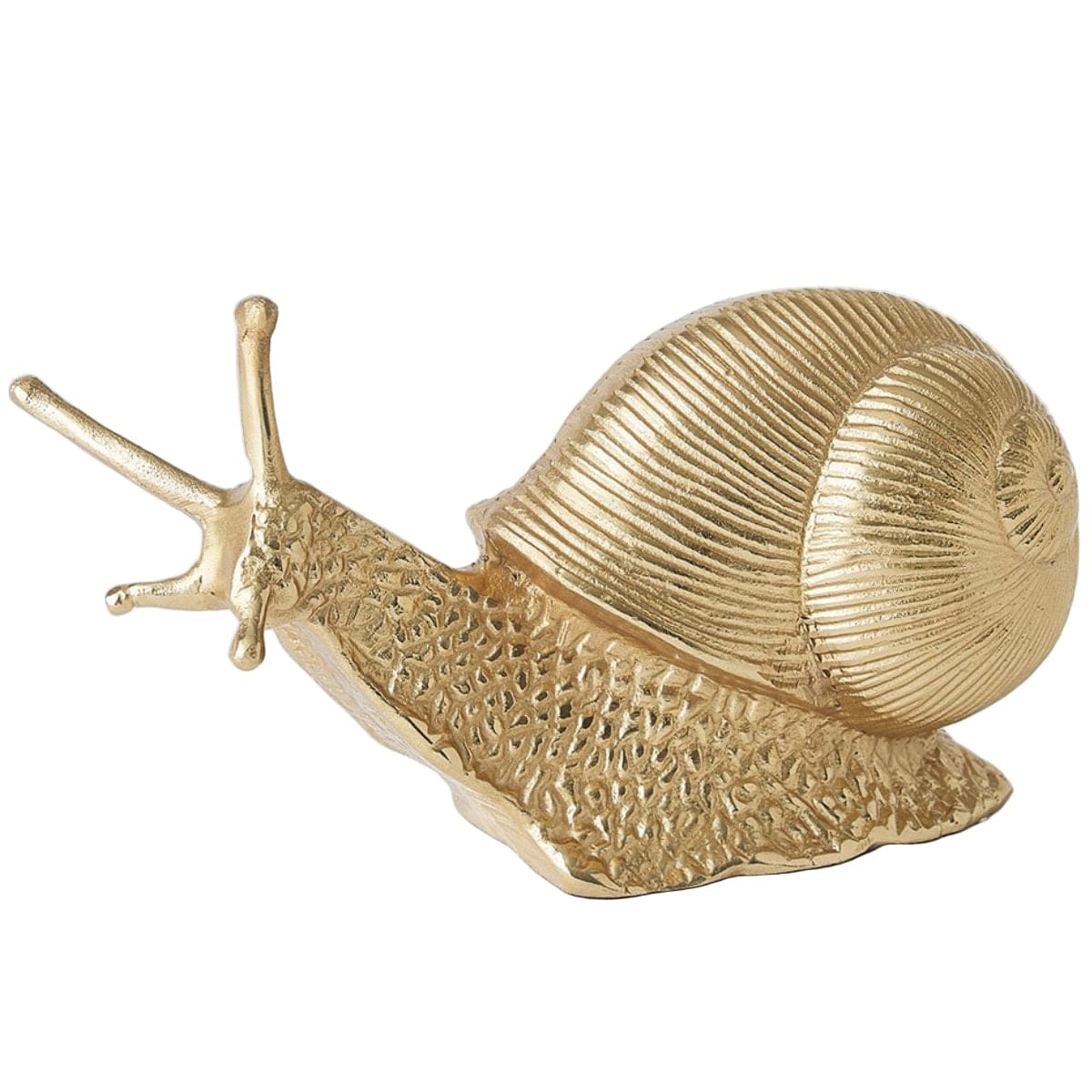 Snail Sculpture Sculptures & Statues DES9.90018