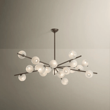 Sonny Chandelier Chandeliers