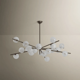 Sonny Chandelier Chandeliers