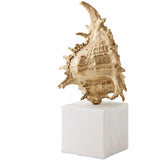 Spider Conch Shell Sculpture Sculptural Objects 883301