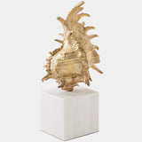 Spider Conch Shell Sculpture Sculptural Objects 883301