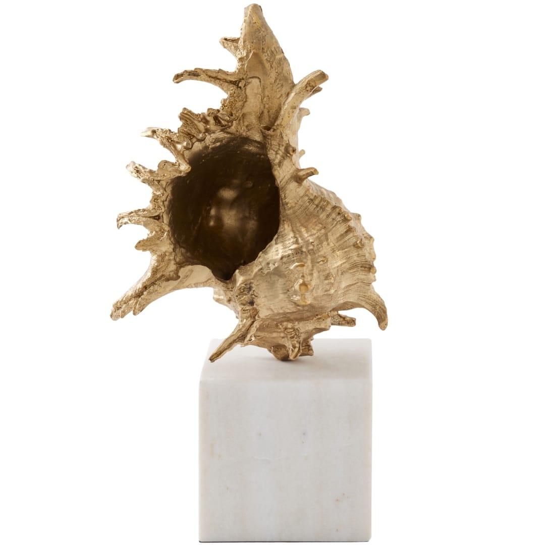 Spider Conch Shell Sculpture Sculptural Objects 883301