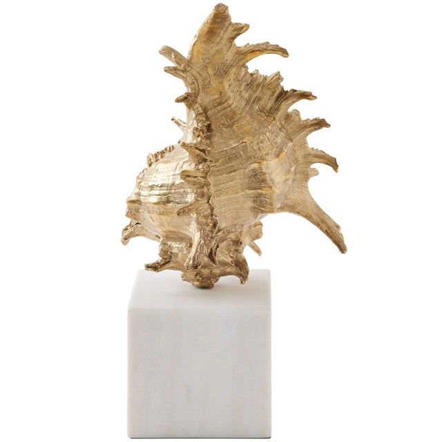 Spider Conch Shell Sculpture Sculptural Objects 883301