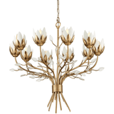 Star Magnolia Chandelier Chandeliers
