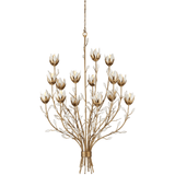 Star Magnolia Chandelier Chandeliers