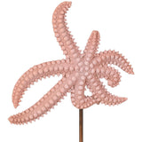 Starfish (Set of 2) Sculptural Objects 1200-1171