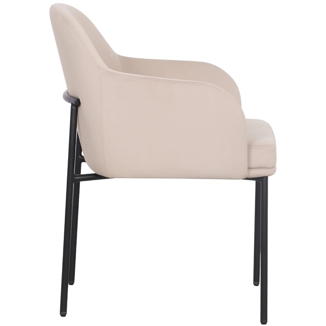 Sydney Dining Chair (Set of 2) Dining Chairs + Benches