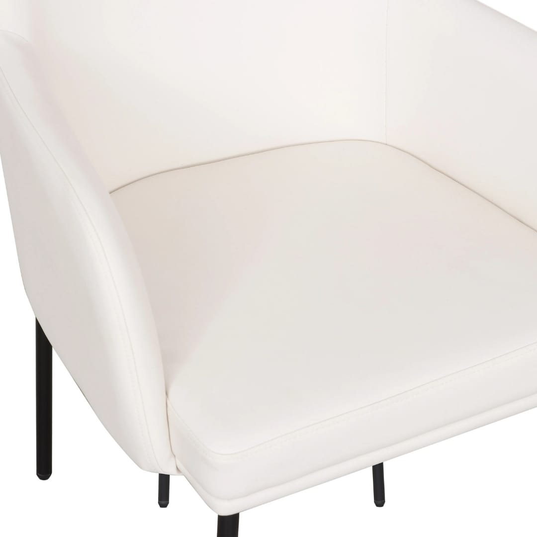 Sydney Dining Chair (Set of 2) Dining Chairs + Benches