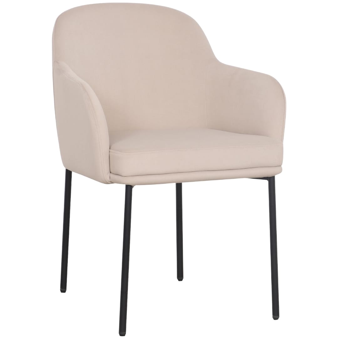 Sydney Dining Chair (Set of 2) Dining Chairs + Benches