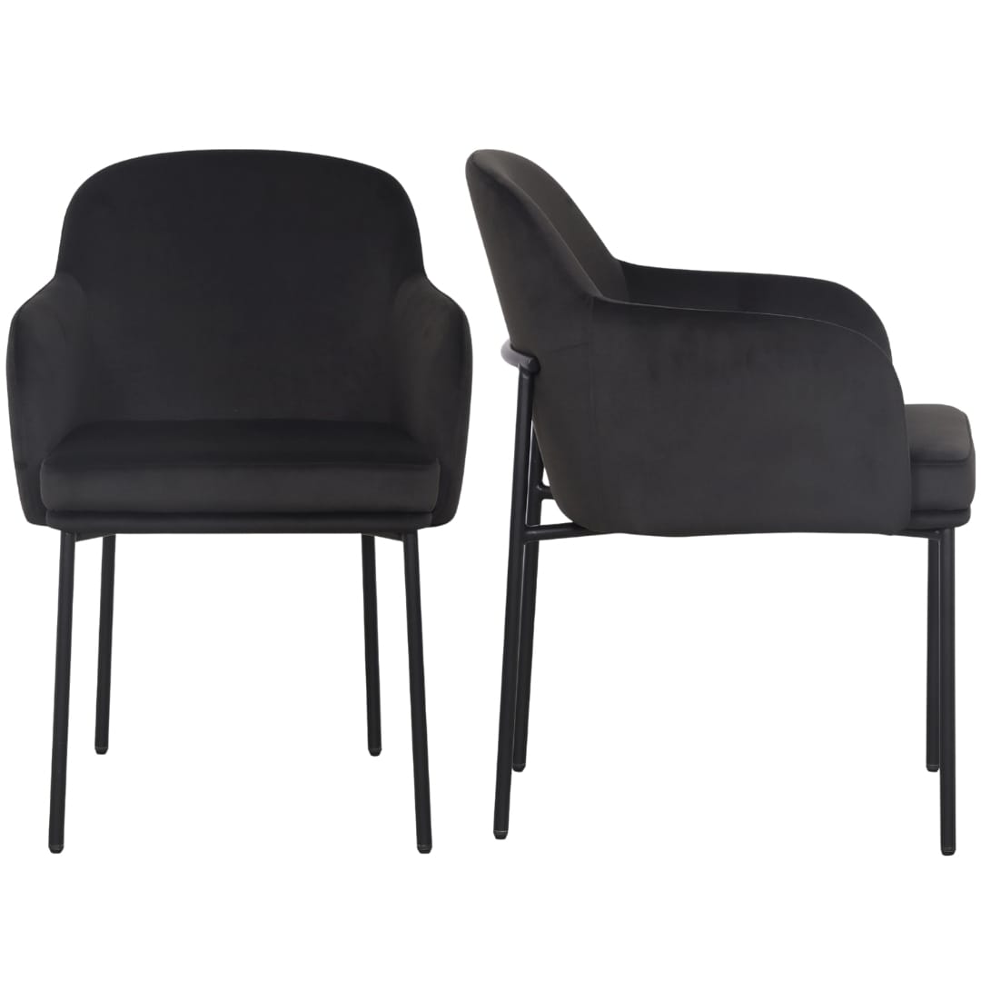 Sydney Dining Chair (Set of 2) Dining Chairs + Benches TOV-S54775 793580648976
