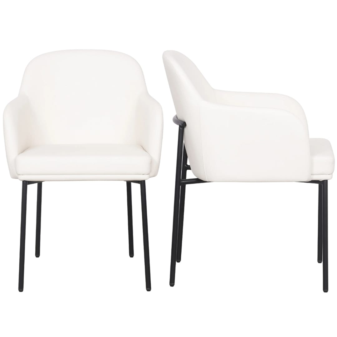 Sydney Dining Chair (Set of 2) Dining Chairs + Benches TOV-S54778 793580649003