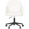 Sydney Office Desk Chair Desk Chairs TOV-H54782 793580649041
