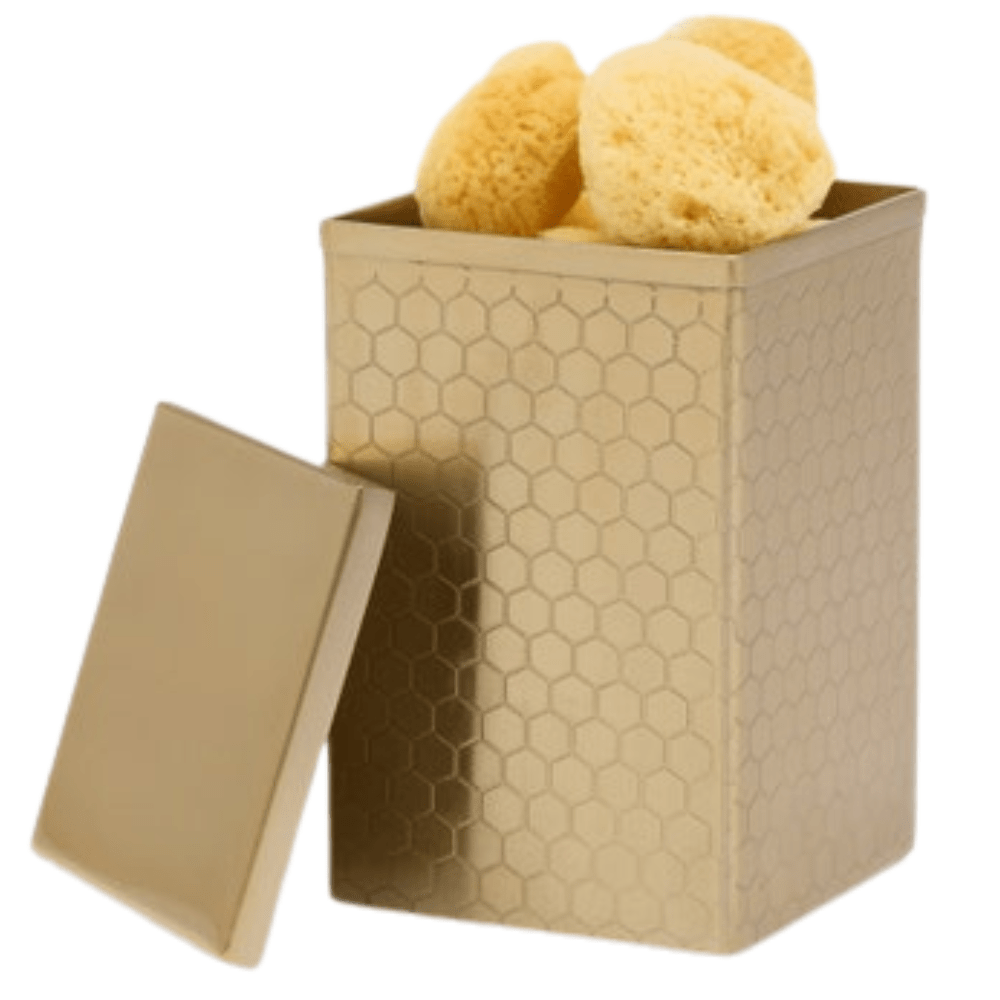 Pigeon & Poodle Temara Canister