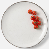 Tessa Gray Speckle Dinnerware (Pack of 4) Dinnerware